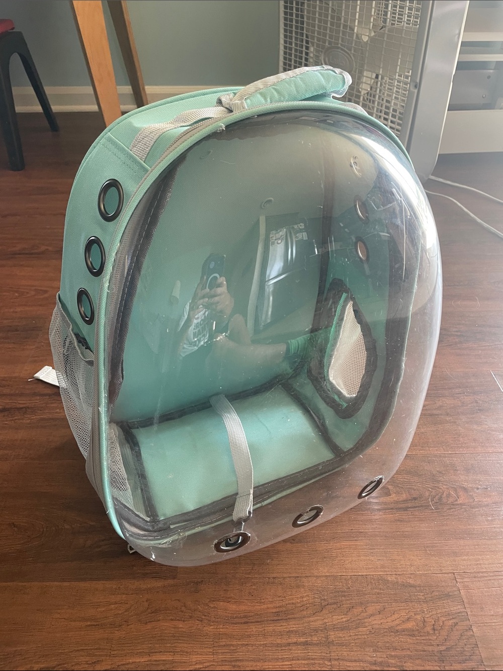 Mint Green Transparent Bubble Pet Backpack Carrier